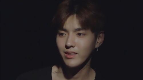 吴亦凡女生爆料视频,真相与争议交织  第3张