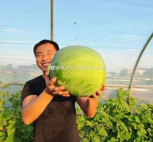 娱乐吃瓜酱百岁,娱乐吃瓜酱的璀璨人生回顾  第2张